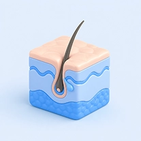Dermatólogos